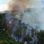 incendio