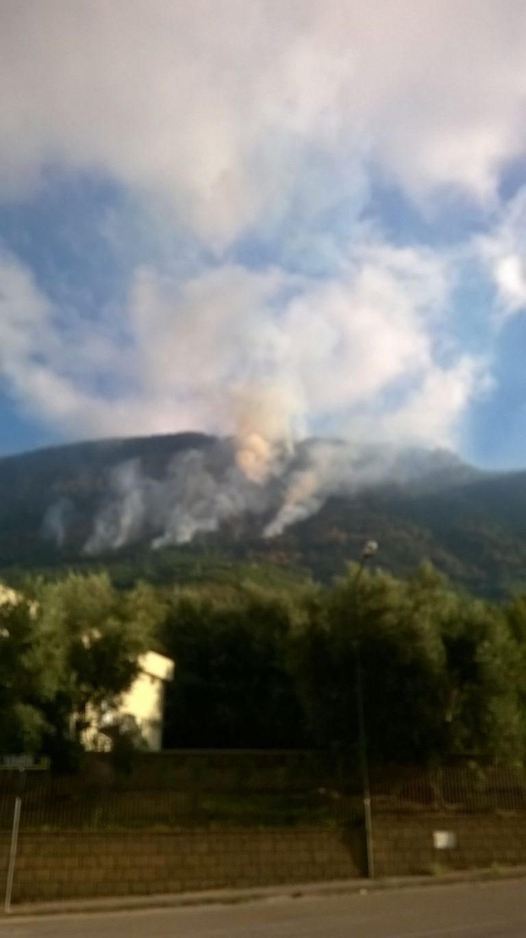 VIDEO/ Il vento alimenta le fiamme: brucia il Faliesi, piccoli focolai a Montevergine