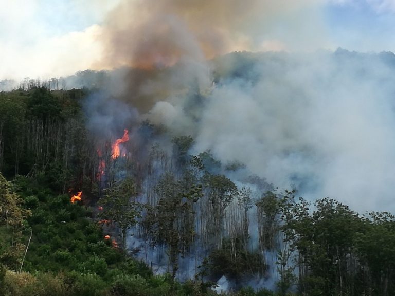 FOTO e VIDEO/ E’ ancora incubo incendi in Irpinia: situazione drammatica sul monte Faliesi