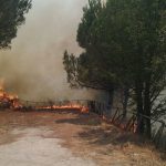 incendi boschivi incendio rogo