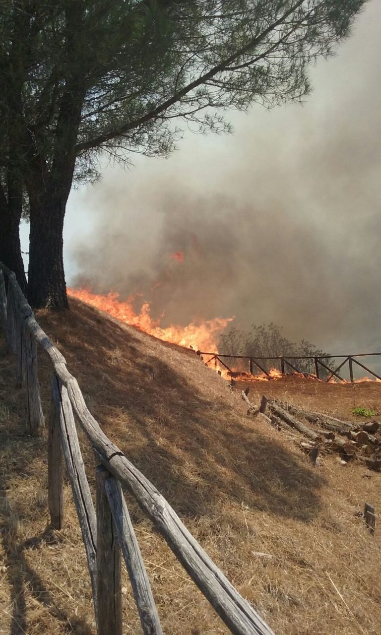 Incendi boschivi, incontro sindacale sulla programmazione delle attività di tutela del territorio