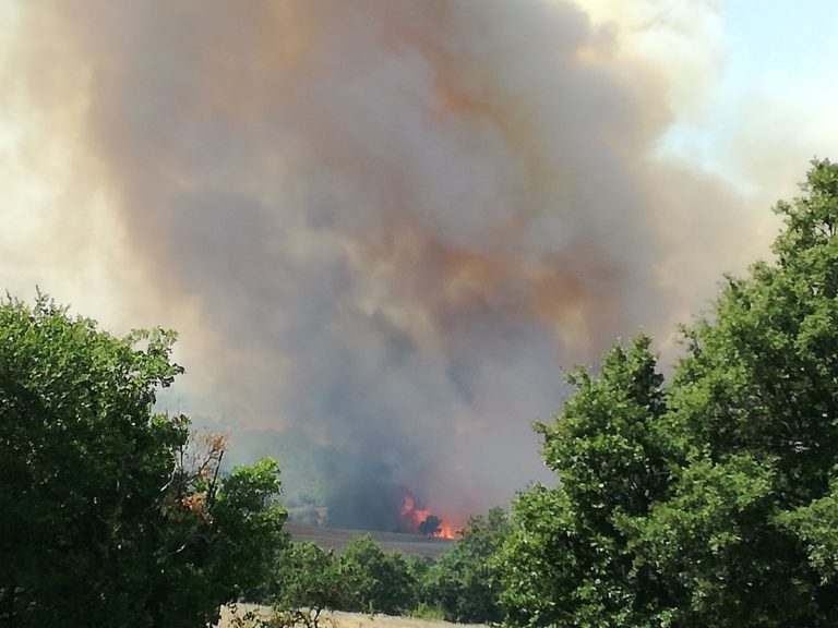 VIDEO-FOTO/ Inferno di fuoco in Irpinia, oltre 20 roghi nelle ultime 12 ore