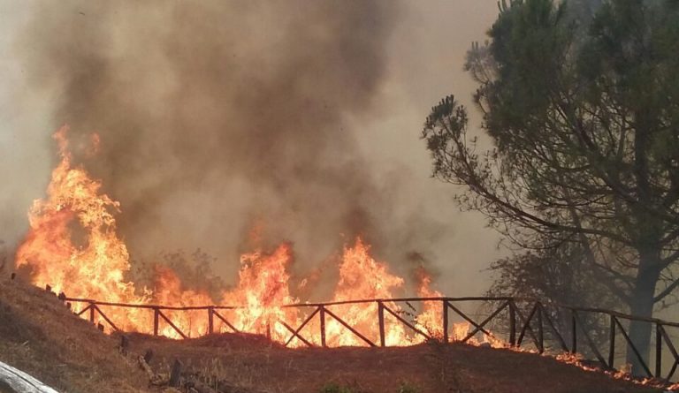 Così muore la “verde Irpinia”, oltre mille ettari di vegetazione andati in fumo