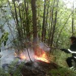 INCENDI ROGHI BOSCHIVI INCENDIO (15)