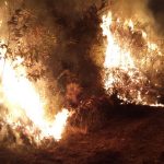 INCENDI ROGHI BOSCHIVI INCENDIO (9)