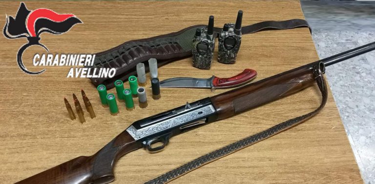 Cacciano cinghiale nonostante il divieto, sequestrati preda e fucile