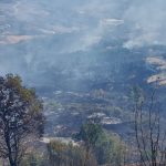 incendi boschi