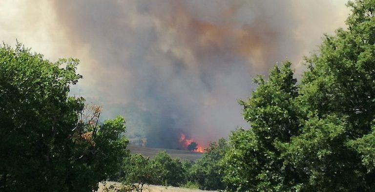VIDEO/ Caldo record, fuoco e crisi idrica: estate nera per l’Irpinia