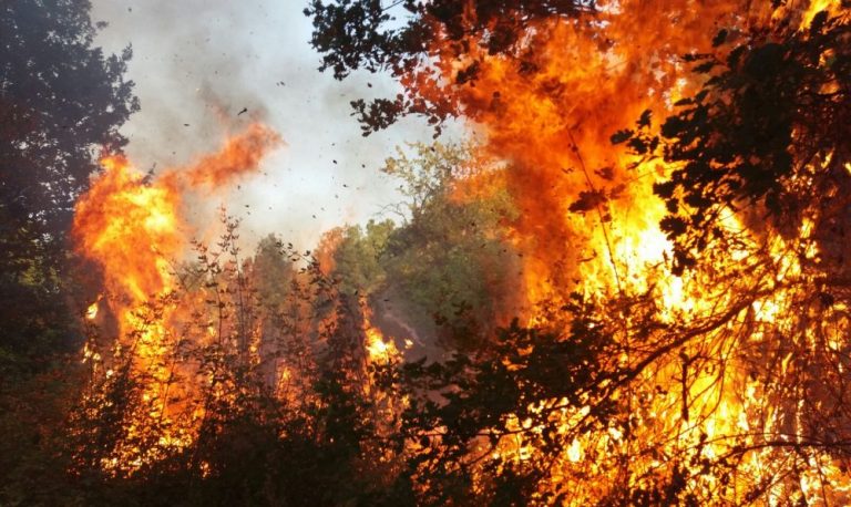 Non si placa il fronte del fuoco in attesa della pioggia: tutti gli interventi