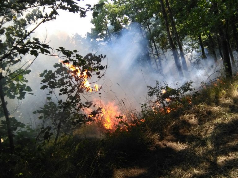 FOTO/ Il fuoco non da tregua all’Irpinia: 20 gli incendi odierni, 80 gli operatori coinvolti