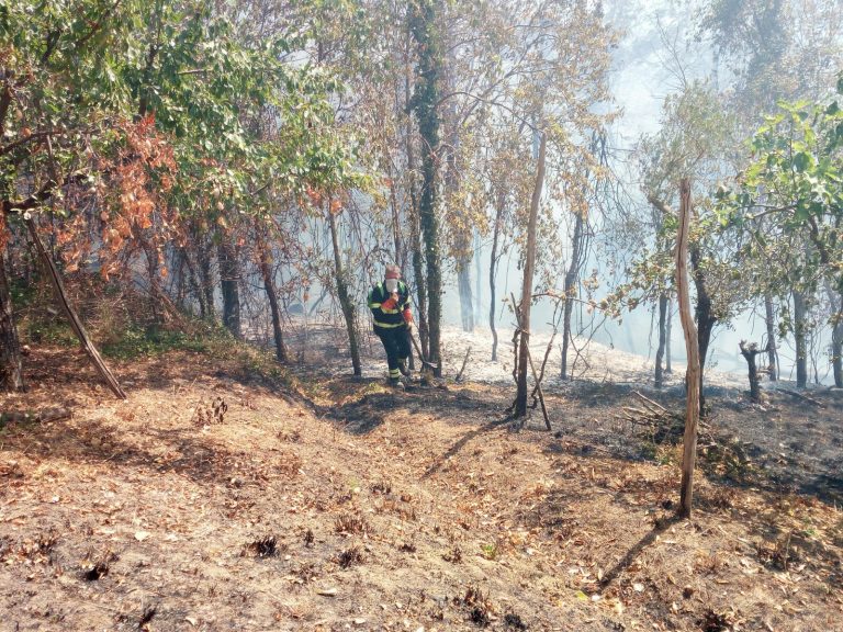 Fronte del fuoco di Quindici, non basta l’elicottero: giornata infernale in Irpinia