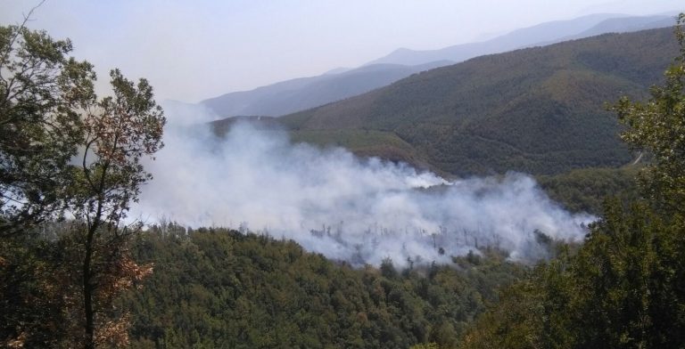 L’Irpinia brucia: dopo Bonito, fiamme anche a Montoro