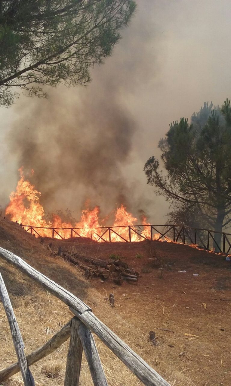 Incendi, l’Irpinia brucia: a Lapio le fiamme lambiscono le case