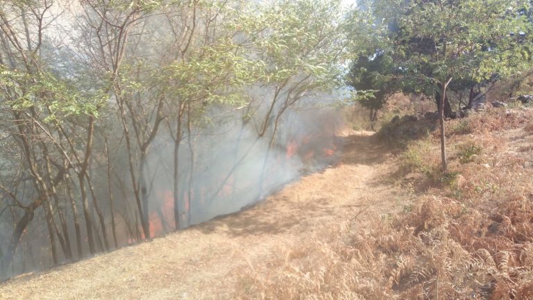 FOTO/ Incendi: elicottero a Montella, torna la paura a Montevergine