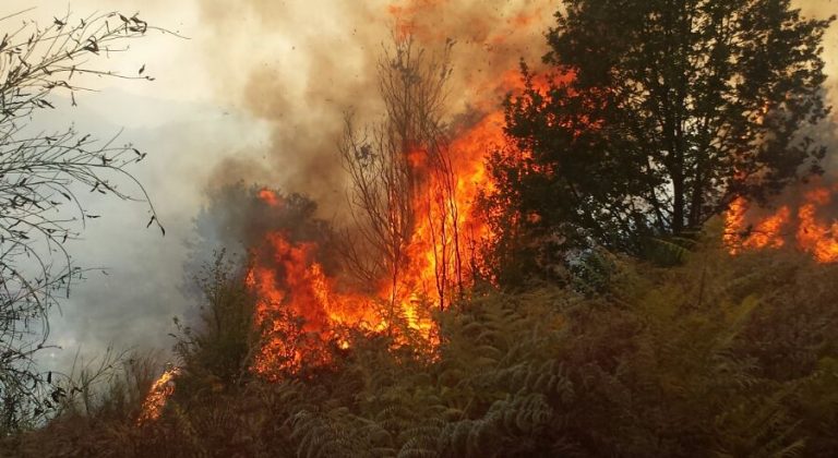 VIDEO-FOTO/ Non si fermano gli incendi in Irpinia, a Montoro è un inferno