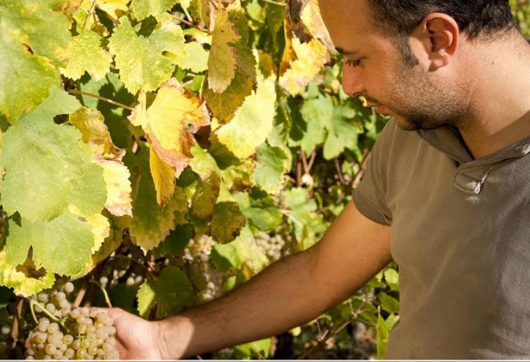 “Città europea del vino 2019” arriva il patrocinio del Parlamento europeo