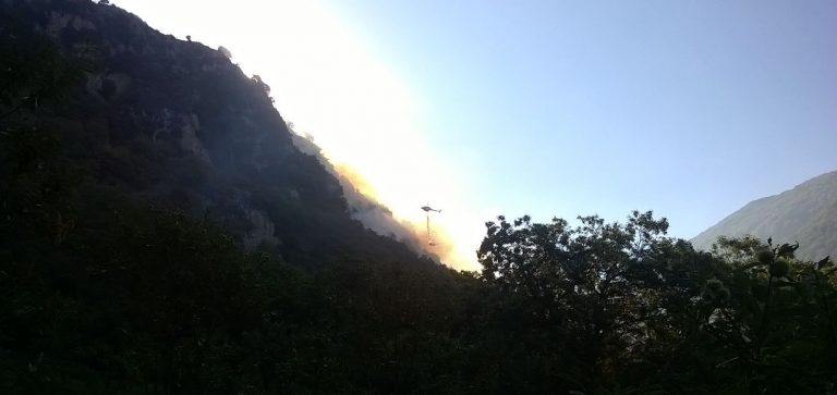 Monte Pizzone in fiamme, il fuoco non dà tregua all’Irpinia