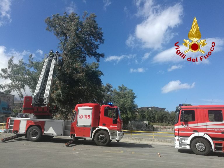 Il forte vento fa danni ad Avellino: caschi rossi al lavoro