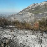 C8AB7727-5F22-41E2-897B-32F7CD02C020