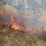 E43BD793-DD28-46D4-9DE6-39F84315D9AA