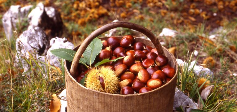 Sagra della Castagna di Cervinara, da domani enogastronomia protagonista tra i vicoli del borgo