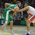 leunen varese sidigas
