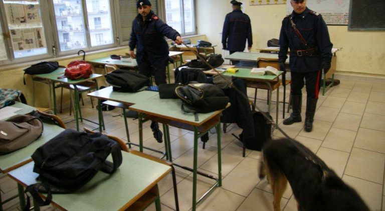 Droga nelle scuole, controlli dei Carabinieri con unità cinofile