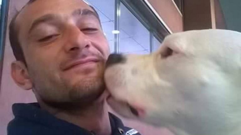VIDEO/ Iceberg liberata in Danimarca: ha riabbracciato il proprietario avellinese