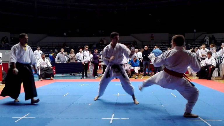 FOTO/ Bronzo per l’Irpino Donadio ai Mondiali di karate Fudokan in Romania