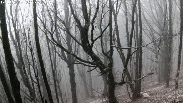 L’inverno incombe sull’Irpinia: prima nevicata sul Partenio