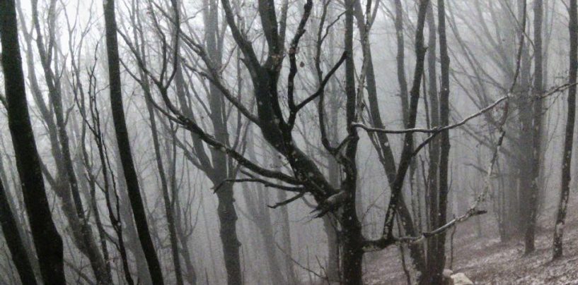 L’inverno incombe sull’Irpinia: prima nevicata sul Partenio