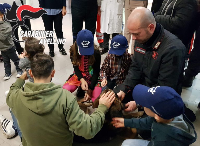 Ospedale di Solofra, il cane Pirat allieta il Natale dei bambini