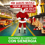 300×250 sinergia