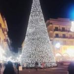 albero cava de tirreni