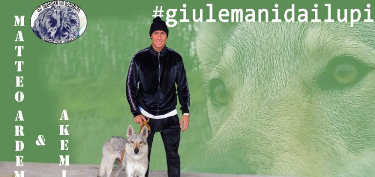 “Giù le mani dai lupi”, il bomber Matteo Ardemagni sposa la causa