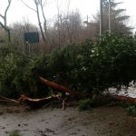 AD2FA1F4-30EB-45C3-BA4A-A7C407C84D46