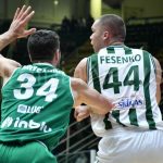 fesenko zielona gora