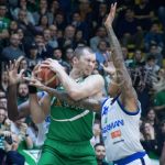 fesenko moss brescia