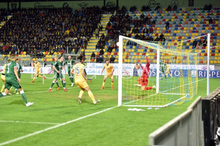 Avellino Calcio – Ok provvisorio: Wilmots ci sarà a Frosinone
