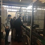IMG-20180216-WA0010