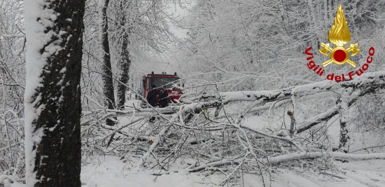 FOTO/ Neve in Irpinia: viabilità in tilt e scuole chiuse