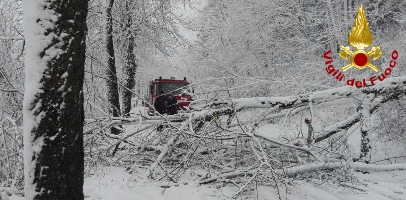 FOTO/ Neve in Irpinia: viabilità in tilt e scuole chiuse