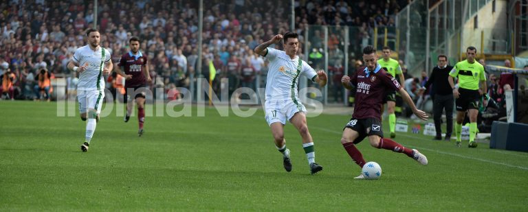 Avellino Calcio – Derby in rosso: le decisioni del Giudice Sportivo