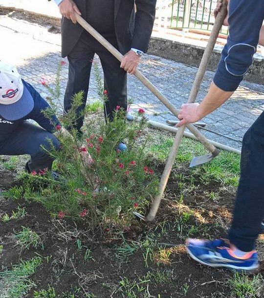 Giornata ecologica, a Valle con guanti e zappe per pulire le aiuole