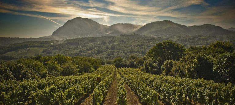 “Ciak Irpinia” a Montemiletto: è già conto alla rovescia