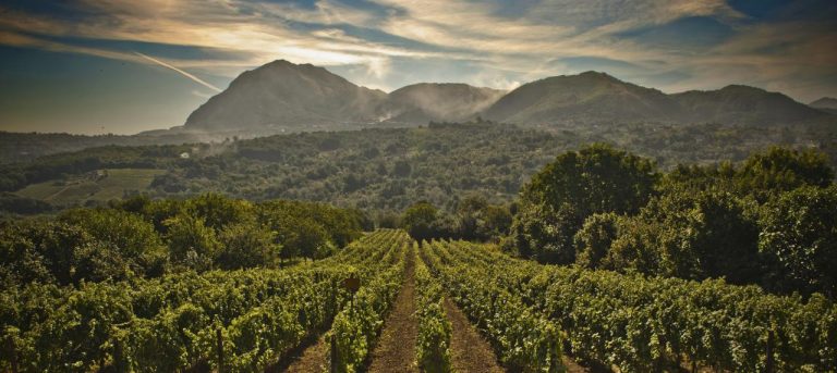 Pacchetti turistici, l’Irpinia è pronta: nasce il primo tour operator