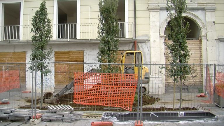VIDEO/ Spuntano i primi alberi di leccio nel salotto buono di Avellino. Il sondaggio di Irpinianews