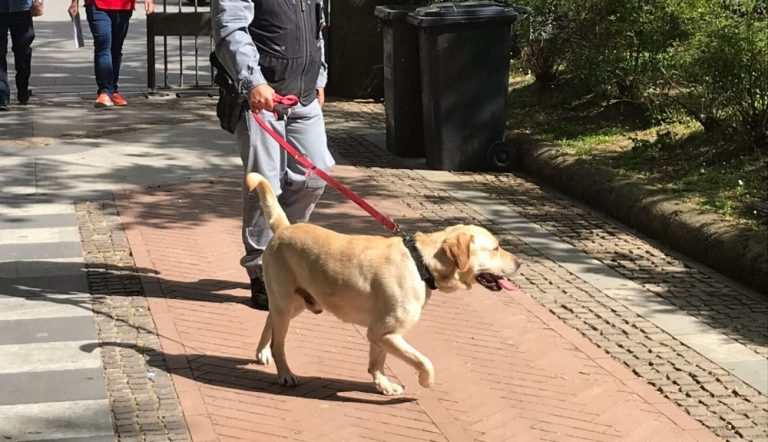 VIDEO-FOTO/ Esche avvelenate in Villa: arriva l’unità cinofila antiveleno