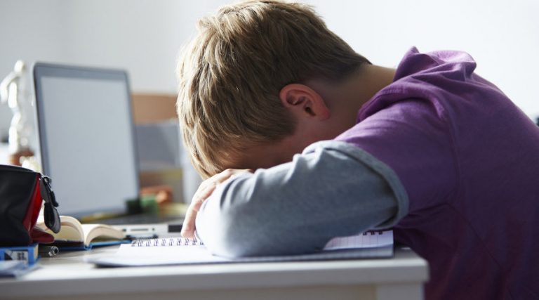 Regione in campo contro bullismo e cyberbullismo: via ai progetti