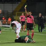 piccinini-ammonizione